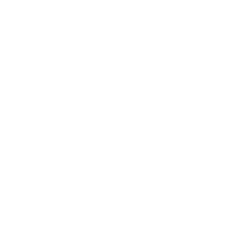 HAMMERER Studio Isotipo