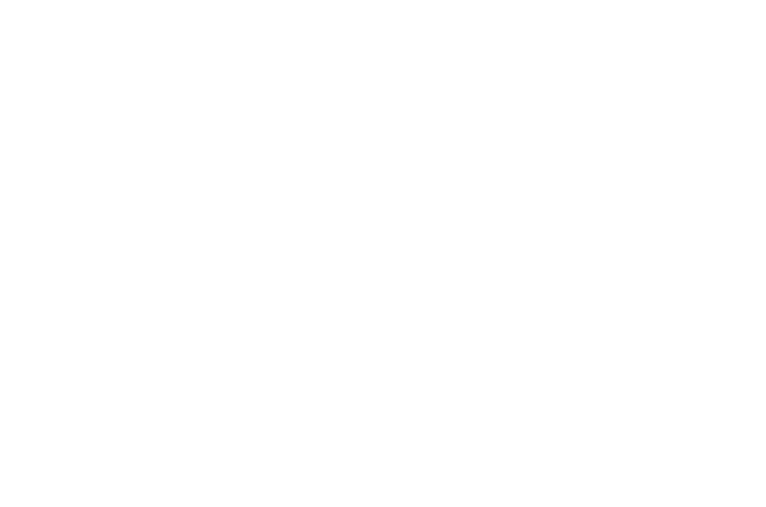 HAMMERER Studio Logo